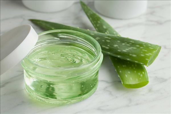 Aloe Vera Hamam