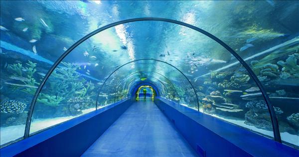  Aquarium Antalya Shuttle & Entrance