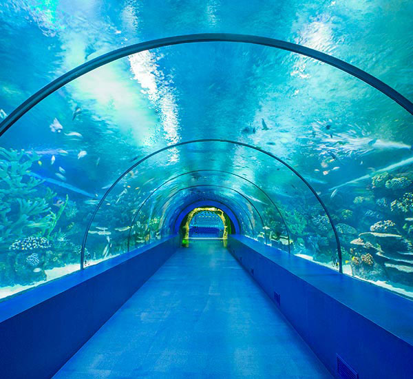 Aquarium  Antalya Shuttle & Entrance